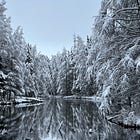 Nordic wisdom for the coldest days of the year