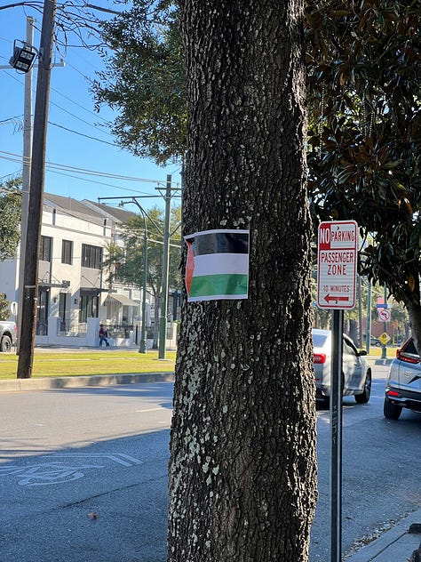 Flowers outside a bakery, a Palestinian flag on a tree, and a screenshot of Bodies, Bodies, Bodies, a movie I watched thanks to the library