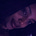 ያቺ_ሴት°❀⋆'s avatar