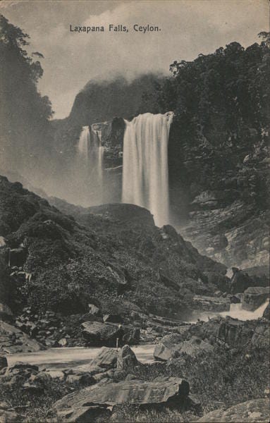 A sepia postcard showing a white waterfall in a rocky ravine, captioned Laxapana Falls, Ceylon