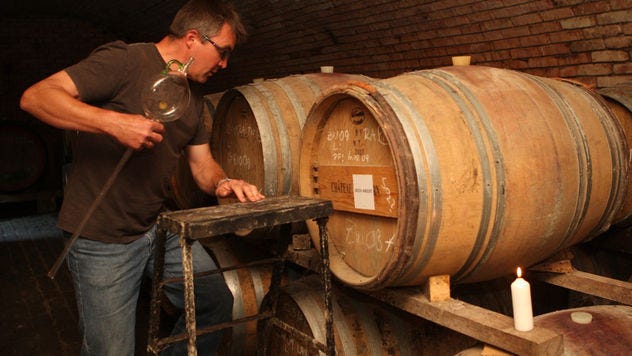 Michael Andert in the cellar (photo courtesy Andert Wein)
