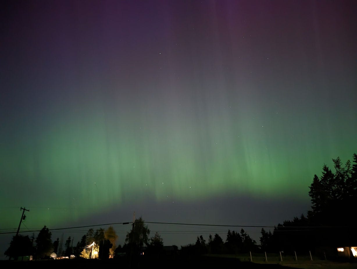 purple and green northern lights