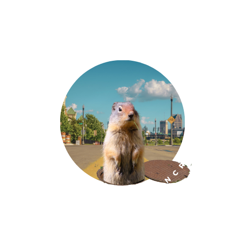 Artwork for Dc’s Substack