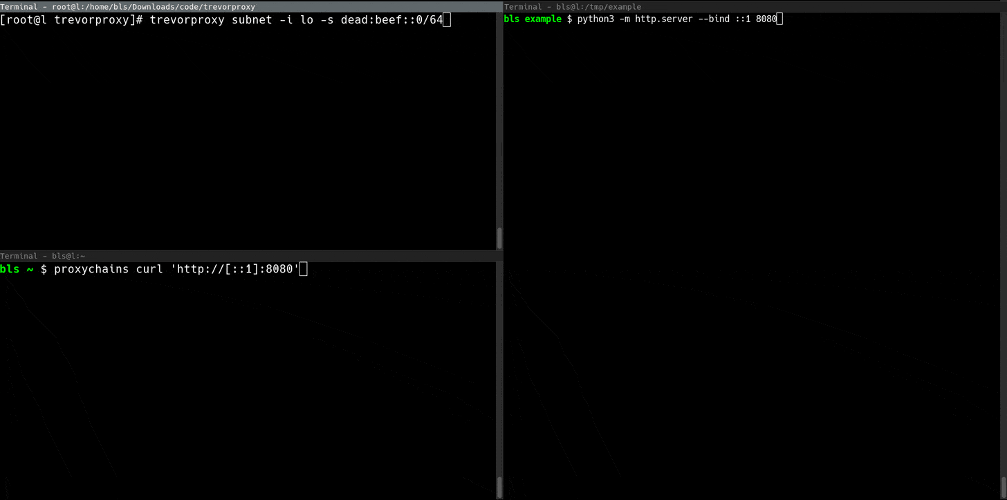 subnet-proxy