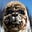 AlpacaDiddy's avatar