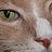 Lynne Pitts's avatar