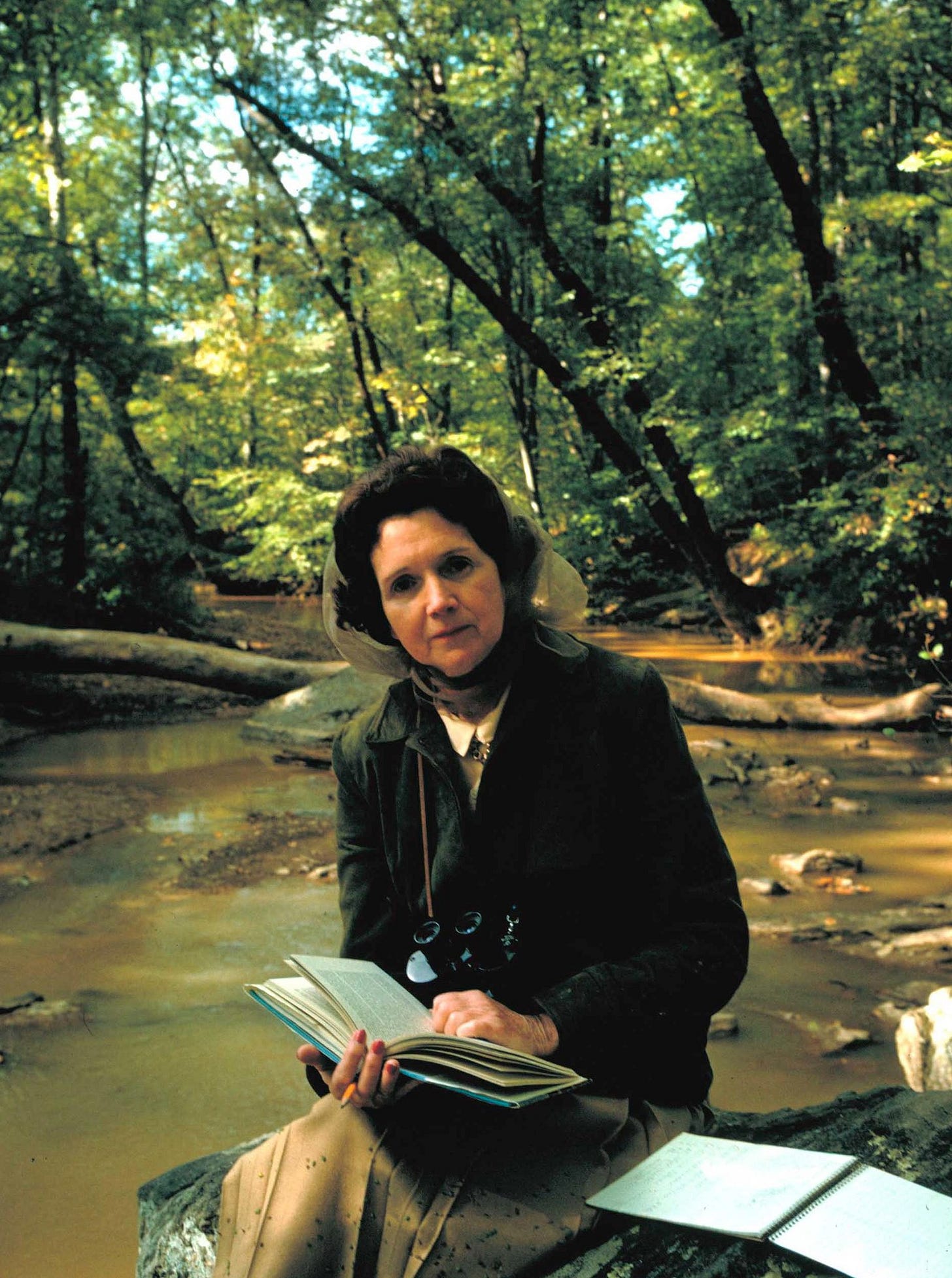 Rachel Carson's Lessons, 50 Years After 'Silent Spring' - The New York Times