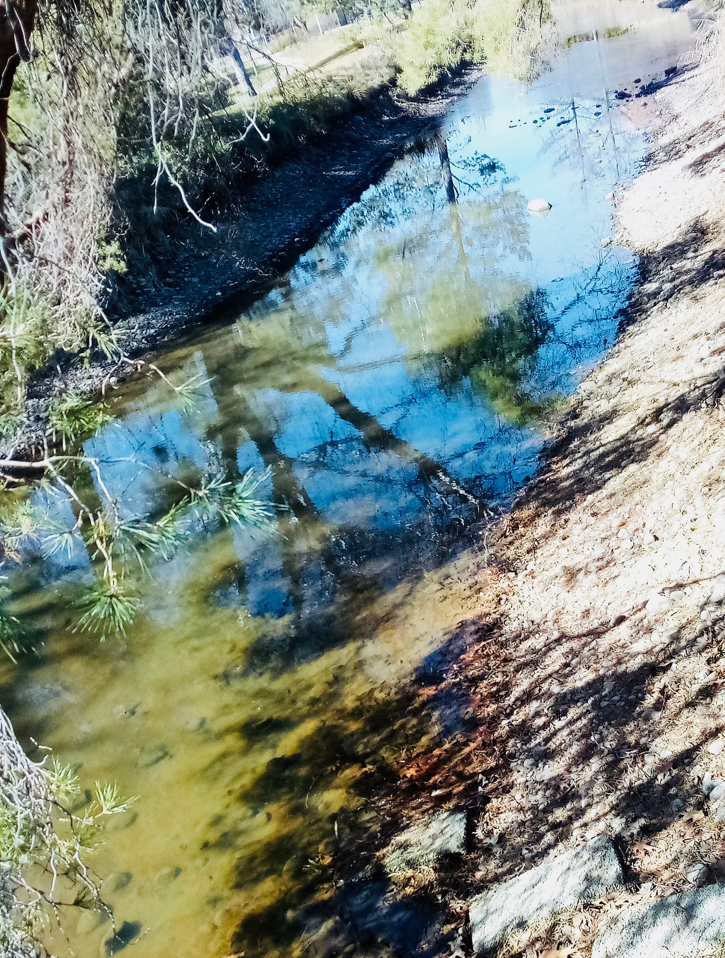 Creek reflecting blue sky and green trees