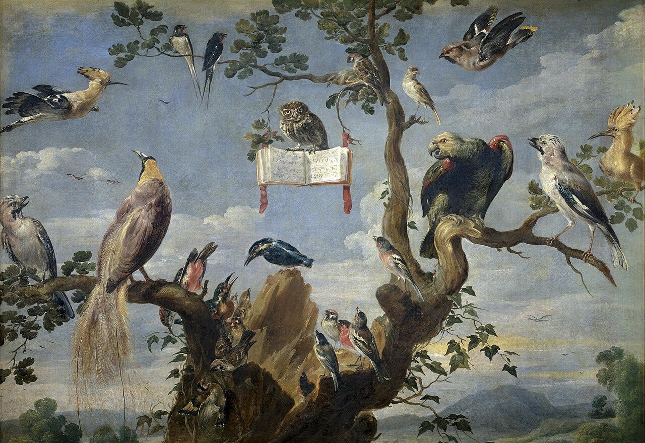 Many birds squabbling around an owl with a songbook Many birds squabbling around an owl with a songbook