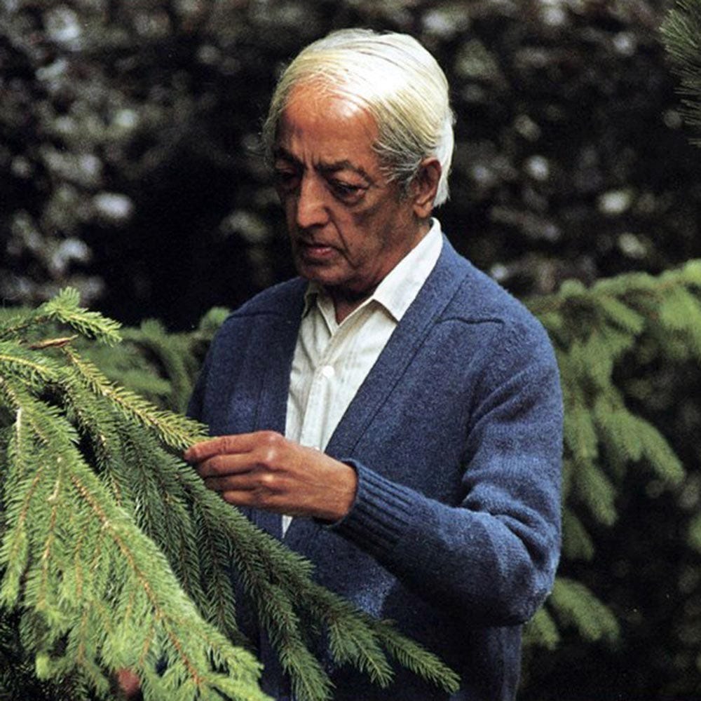 What Is Our Relationship With Nature? • Krishnamurti Foundation