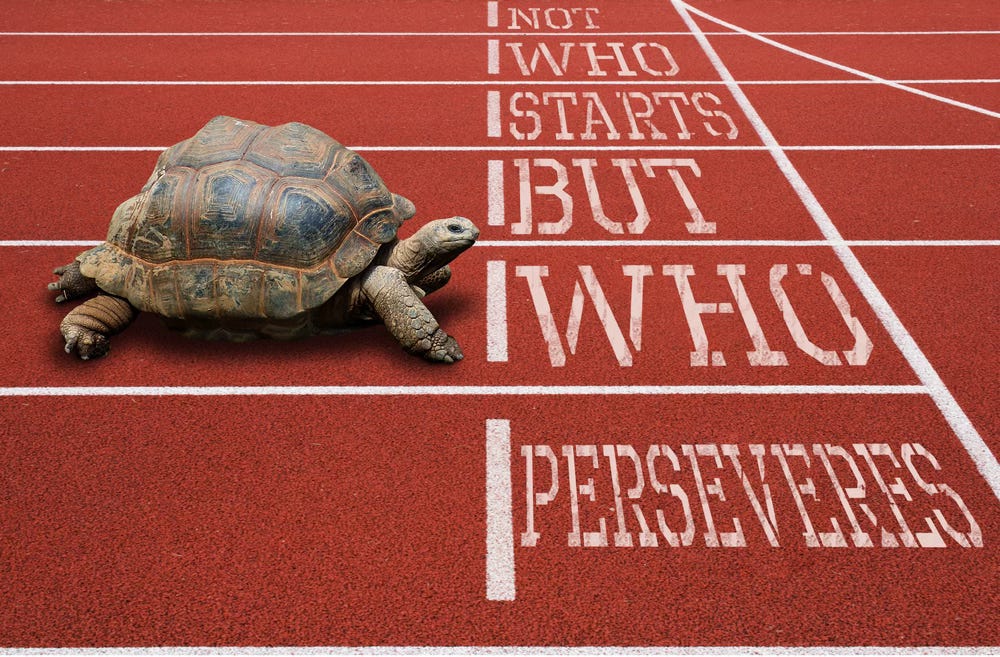A turtle on a running trace at the finish line A turtle on a running trace at the finish line