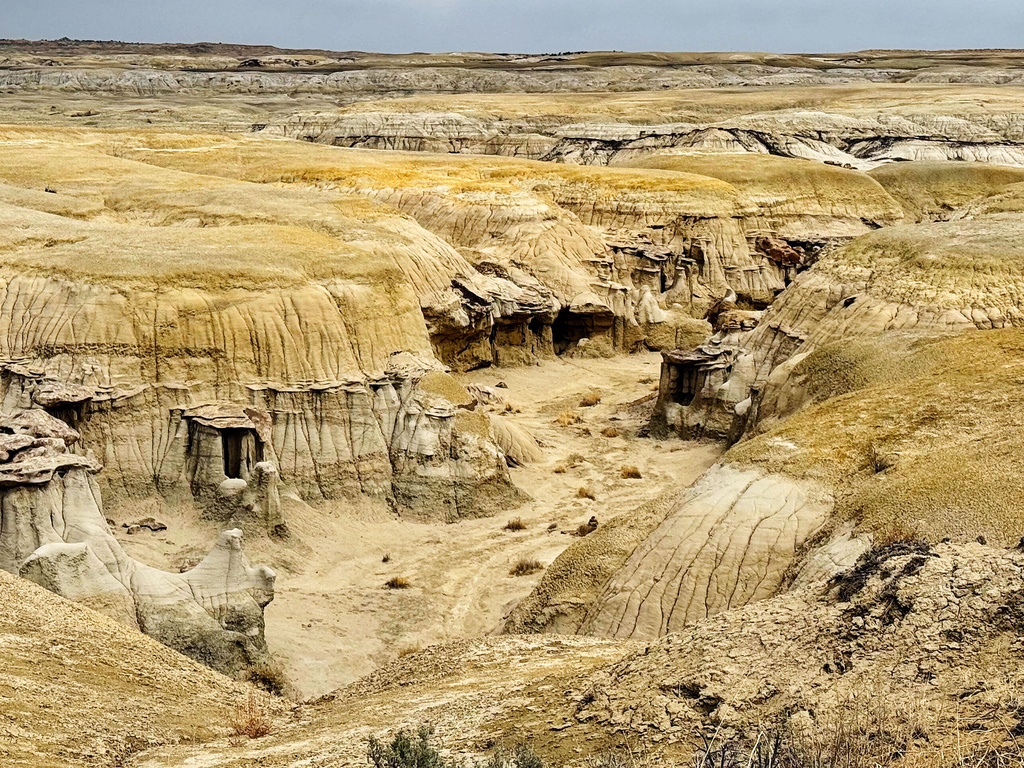 Week 44: Chaco Canyon and more! - Lisa Spangler