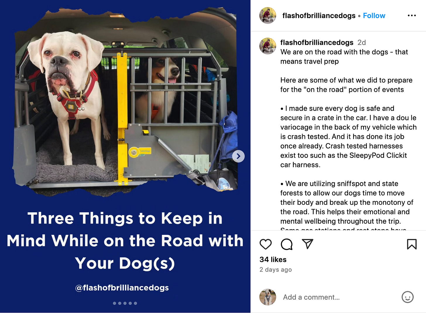 screenshot of IG post carousel from @flashofbrilliancedogs about road trip prep when traveling with dogs