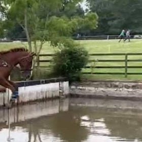 Equestrian Inspirations: Corey Mawhinney