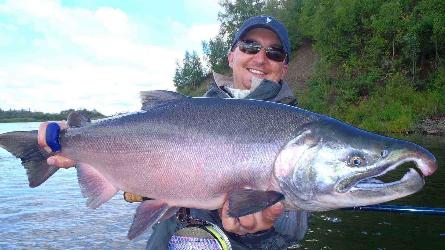 Alaska Angler with large Salmon