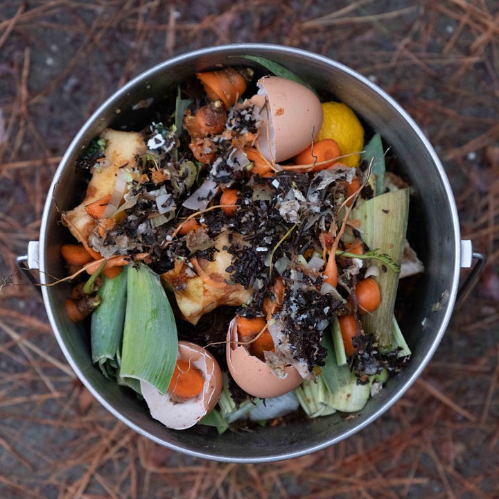 Diptych: Shimmering greens and oranges in ripples of water; Compost bucket filled with orange carrot tops, leeks, tea leaves and stuff.