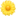 🌼 🌼