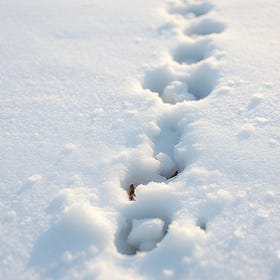 Between Our Steps: Winter Sounds