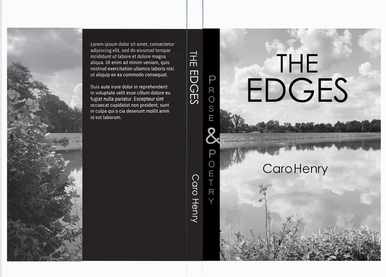 Caro Henry’s book cover