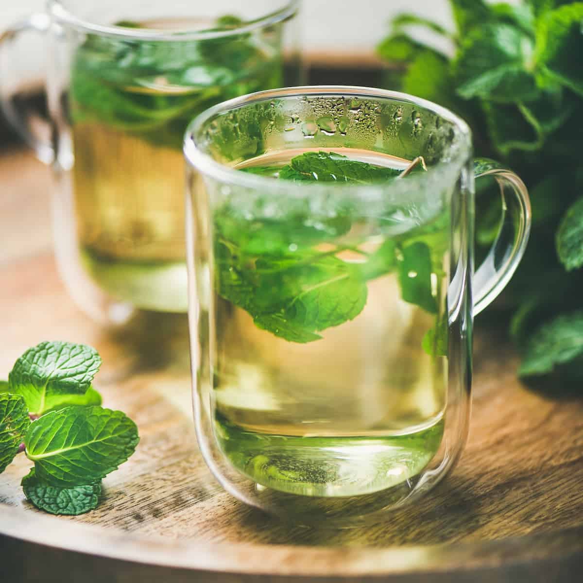 immune boost tea peppermint in glass tea cup