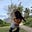 Chantel Pae's avatar
