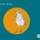 Imbolc: Listening to the quickening.