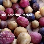 The Best Gardening Tips for Growing Your Own Potatoes