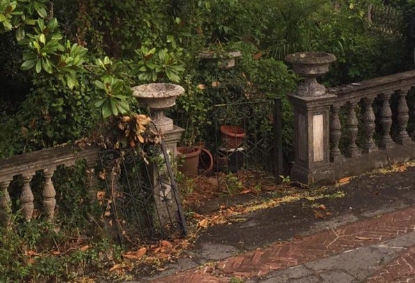 secret garden entrance after summer thunderstorm secret garden entrance after summer thunderstorm