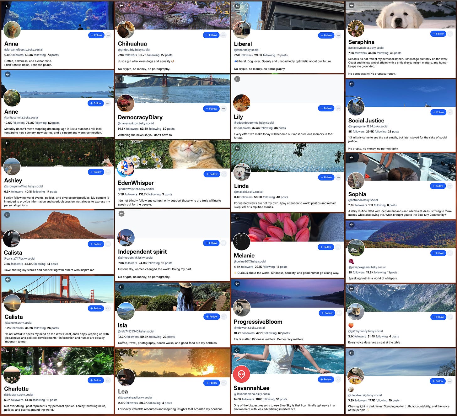 collage of the profiles of 24 Bluesky spam accounts that engage in bulk follow activity collage of the profiles of 24 Bluesky spam accounts that engage in bulk follow activity