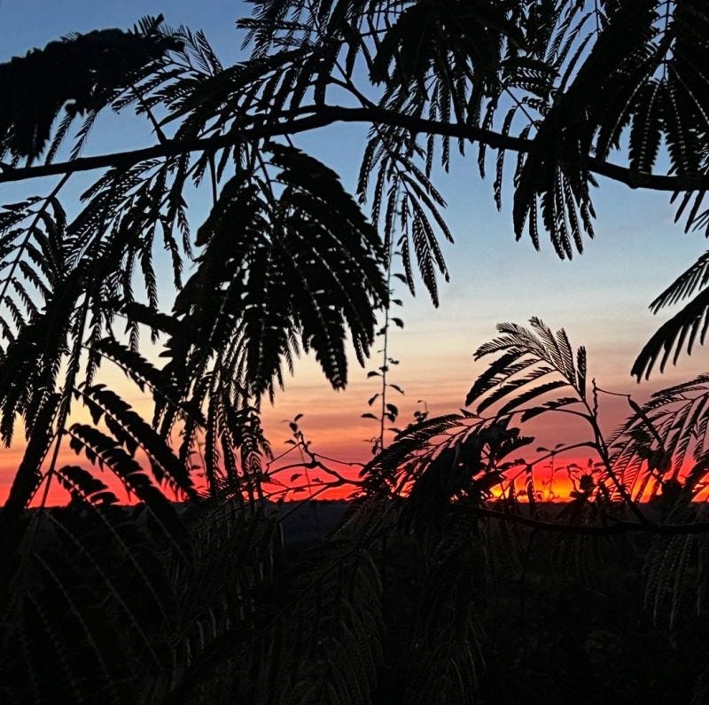zonsondergang
