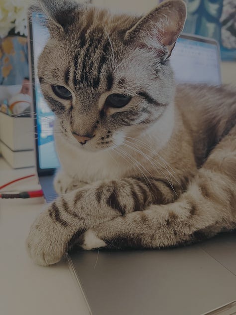 This Is How Clever Creators Will Grow Subscribers in 2026 Without Selling Our Souls by BadRedheadMedia, LLC