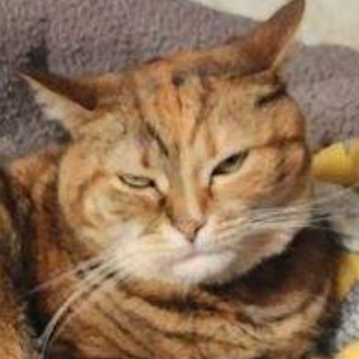 The Kablamo Quarterly