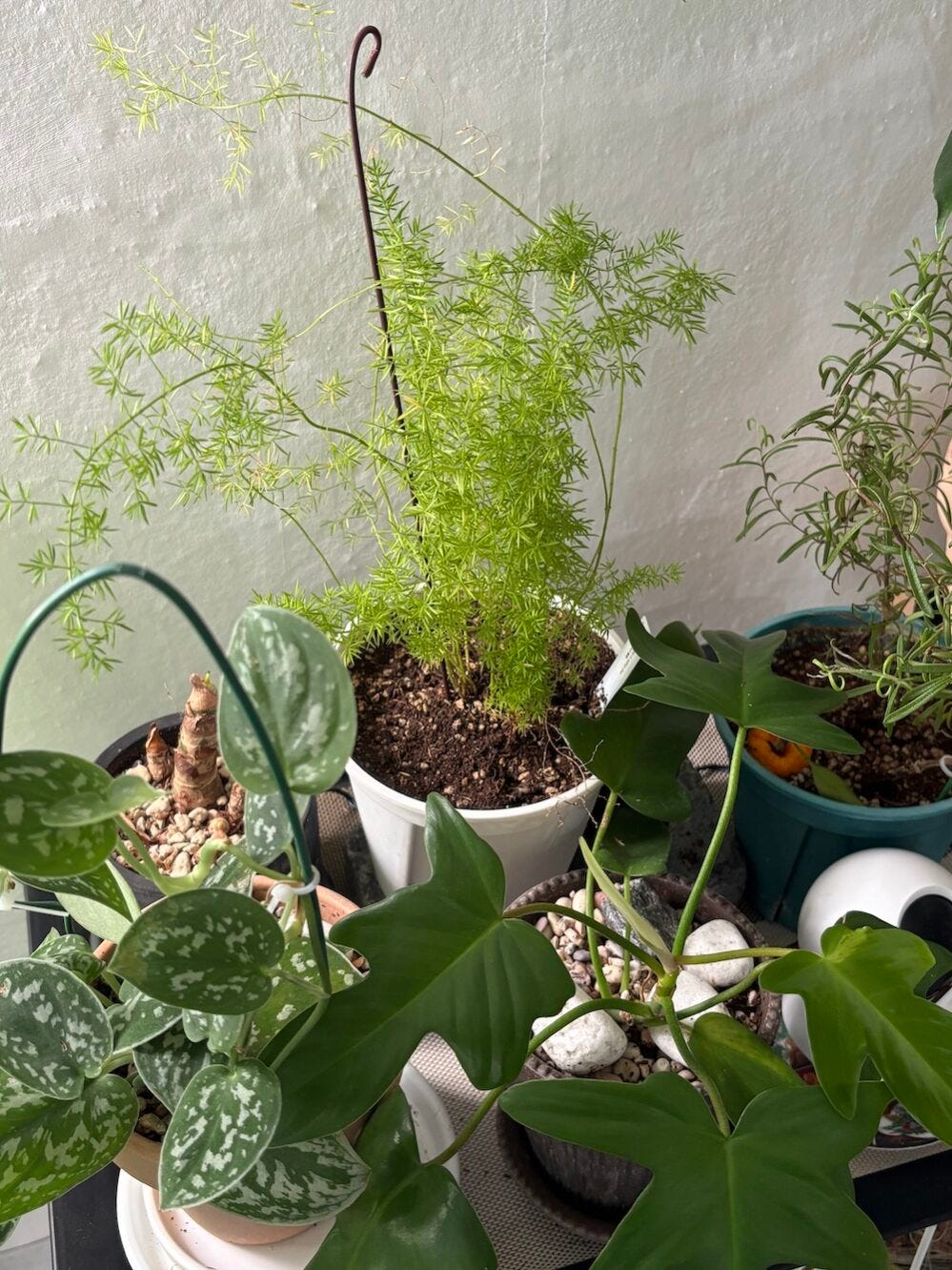 little forest grown together by Manda and my mom1