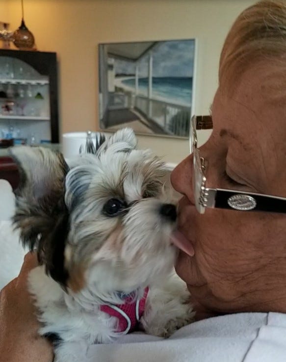 Keke licking her human