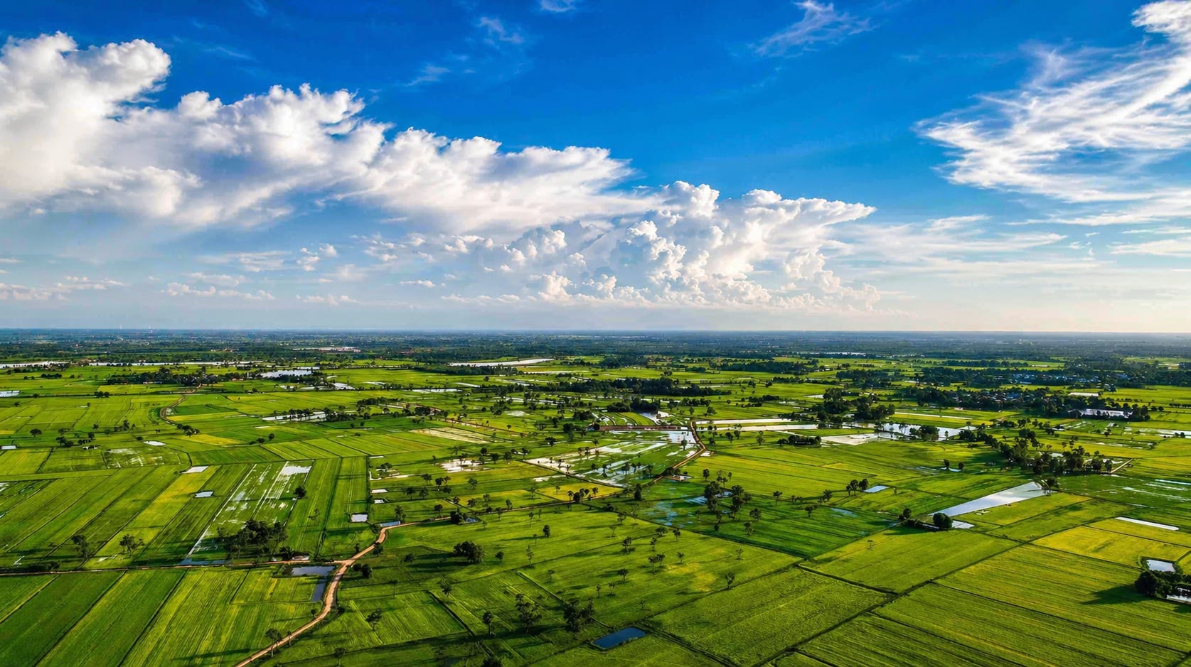 A wide aerial view of Jamaica’s rural landscape, where farmland, water channels, and open land stretch to the horizon, reflecting the growing balance between development potential and environmental protection. Image generated.