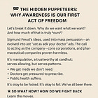 🎭 The Hidden Puppeteers: Why Awareness Is Our First Act of Freedom