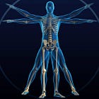 8 Herbs That Strengthen Bones Naturally