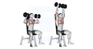 Dumbbell Seated Shoulder Press - Guide ...