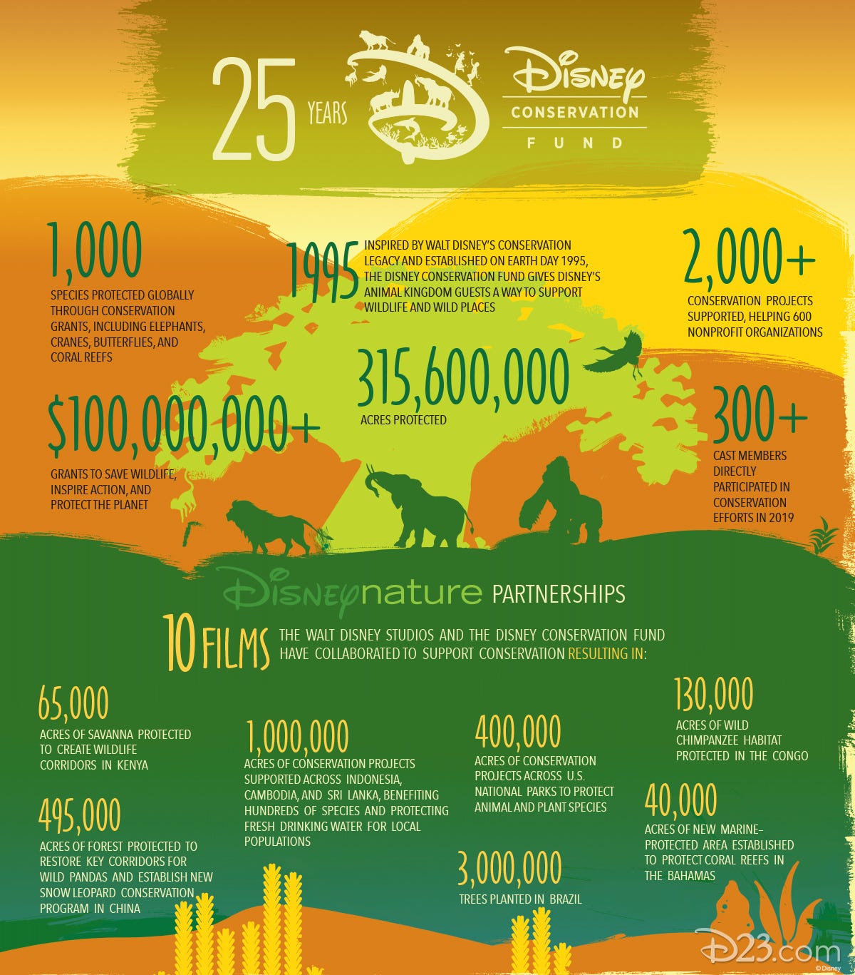 By the Numbers: 25 Years of the Disney Conservation Fund - D23 By the Numbers: 25 Years of the Disney Conservation Fund - D23