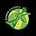 Storm Chasers WNBA Journal