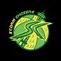 Storm Chasers WNBA Journal