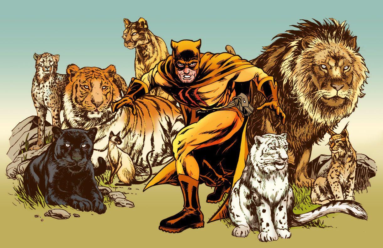 Artwork] Catman. Art by Stephen Sadowski & Shane Bailey. : r/DCcomics