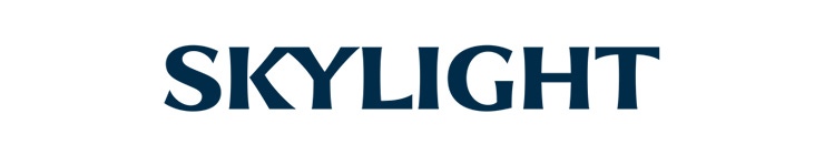 スカイライト コンサルティング スペシャルインタビュー｜転職サービスのムービン