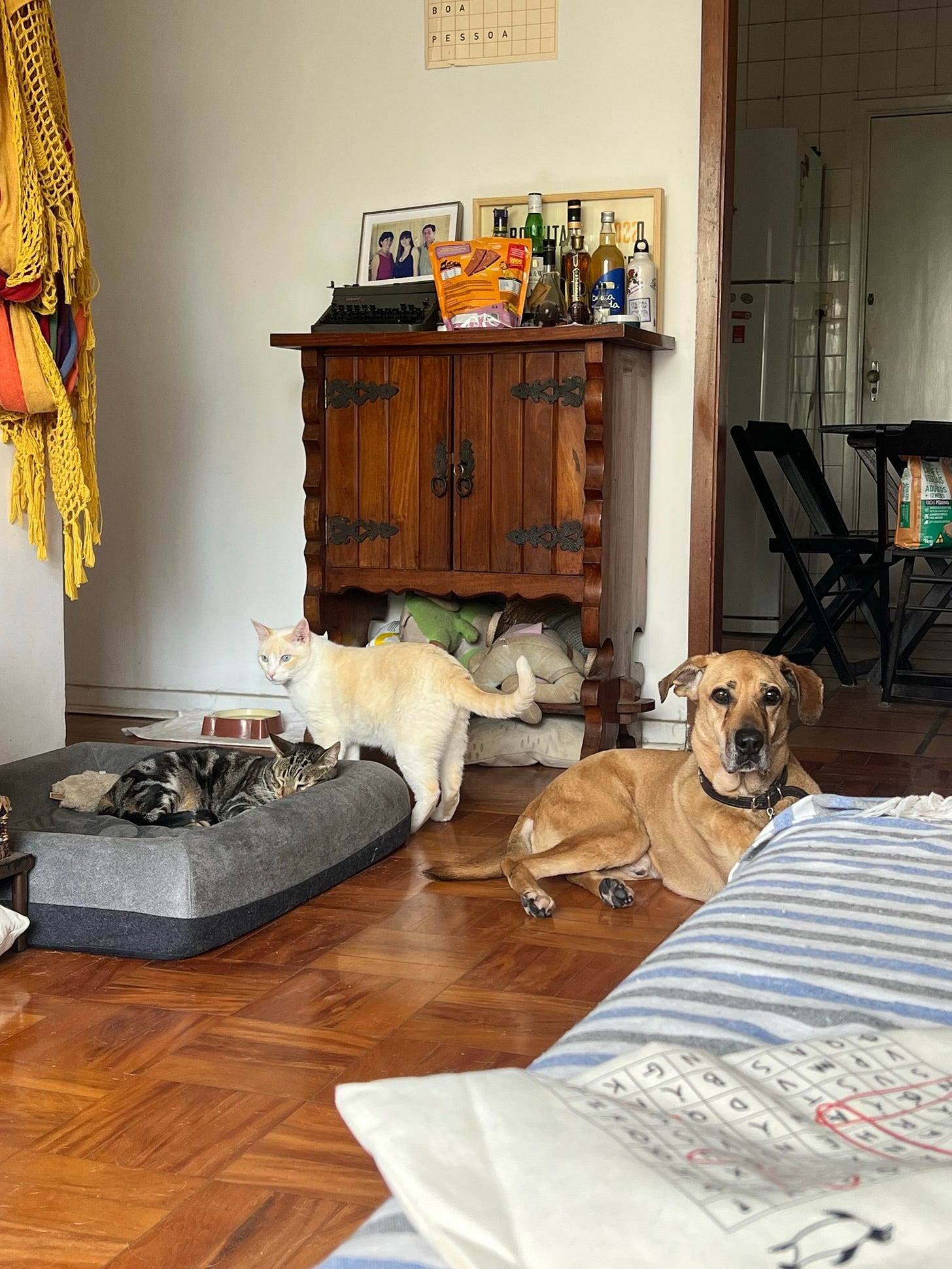    Edit Profile  Taize @taize.bsky.social 4.9K followers 304 following 9.1K posts Escrevo umas coisas na Sou meio vagabunda, mas sou boa pessoa, e tem podcast pros apoiadores pagos taize.substack.com   ‪Taize‬  ‪@taize.bsky.social‬ · 21h La Paz, capital da Bolivia Foto de uma sala de chao de taco mostrando um cachorro caramelo deitado diretamente no chão, enquanto um gato rajado dorme tranquilo na cama em que o cão geralmente está. Passando atrás deles está um gato branco.  ALT        ‪Taize‬  ‪@taize.bsky.social‬ · 9mo #Lidos2025  The Fraud, de Zadie Smith ⭐️⭐️⭐️⭐️  Gostei, mas não é o dos melhores dela. Porém, bom entretenimento Foto do livro The Fraud, da zadie Smith, tem uma capa em degrade que vai do laranja até amarelo e tipografia grandona na capa toda.  ALT  1      View full thread  ‪Taize‬  ‪@taize.bsky.social‬ · 26d “Stay true: relato de uma amizade”, Hua Hsu (trád. de Rodrigo Neves) ⭐️⭐️⭐️⭐️⭐️  Amei, belíssimo Mao branca segurando o livro “Stay true”, capa marrom com uma foto no centro de um jovem segurando uma câmera fotográfica na frente do rosto, o título Stay True em vermelho logo acima da imagem, e na parte inferior o substituto “relato de uma amizade” em amarelo.  ALT  1       ‪Taize‬  ‪@taize.bsky.social‬ · 1d “Histórias de amor no novo milênio”, de Can Xue (trad. Verena Veludo Papacidero)  ⭐️⭐️⭐️⭐️  Doidinho e bem bom, adorei as queridas da estância termal. Minha mão branca segurando o livro Histórias de amor no novo milênio, que tem na cama ilustrações de flores estranhas nas cores vermelho, rosa e verde, e círculos amarelos sobre um fundo azul escuro ALT        ‪Taize‬  ‪@taize.bsky.social‬ · 2d Billy Corgan em Singapura vendo F1 é uma coisa que eu não esperava Cantor Billy corgan usando camisa preta que parece que tá escrito Kafka mas tem um monte de cordão de credencial tapando a letra do meio, usando boné preto, barba grisalha, andando pelo paddock ALT  3       ‪Taize‬  ‪@taize.bsky.social‬ · 10d Chegou insider e já amei o vestidao, montar altos looks 🤙 Foto de um espelho de moldura vermelha, vertical, apoiado na parede. Estou refletida nele usando um vestido/chemise longo de mangas compridas na cor azul claro. Na minha frente, tá o Batista, cachorro caramelo. Sou uma mulher branca magra, cabelos loiro escuros com franja e presos num rabo de cavalo.  ALT        ‪Taize‬  ‪@taize.bsky.social‬ · 16d Não vou mentir que curti que ele só quer uma mulher normal Print de um perfil de site de encontros: “Um homem maduro, quer uma mulher normal e aplicada” ALT  1       ‪Taize‬  ‪@taize.bsky.social‬ · 19d Galera, ajuda aí, porque eu não manjo nem de jazz nem de rolê Conhece algum rolezinho, com precinho justo, para curtir um jazz em SP (pergunta de quem estará em terras paulistas em outubro)? :D ALT  2       ‪Taize‬  ‪@taize.bsky.social‬ · 20d Preciso levantar pra carregar o compiuter mas não consigo Eu meio deitada no sofá e o gato branco encostado no meu ombro, de olhos quase fechados. Minha cabeça tá apoiada na cabecinha dele. Ah, sou uma mulher branca, cabelos loiro escuros meio bagunçados,  olhos castanhos, usando uma camisa listrada branca e azul  ALT  7       ‪Taize‬  ‪@taize.bsky.social‬ · 21d Saudades papear besteira ngl.link/taizze  Mensagens anonimas! Mensagens anonimas! ngl.link  1      View full thread  ‪Taize‬  ‪@taize.bsky.social‬ · 21d Se for uma engenheira/arquiteta, certamente edifica vários lares e outros empreendimentos Taize, uma pergunta: uma mulher edifica o lar? ALT  2       ‪Taize‬  ‪@taize.bsky.social‬ · 21d Tá mó paz. Ok que não estou 100% desconectada pois trabalho, mas não ter perfil próprio tá sendo lindo. Mais tempo pra outras coisas. como vai a saude mental dps de desconectar das redes "mainstream"? Estou pensando em fazer o mesmo. ALT        ‪Taize‬  ‪@taize.bsky.social‬ · 22d Taize, seu braço é torto? Uma selfie da chefa Camila Fremder, mulher branca, cabelo castanho liso, franjuda, de óculos escuros, na praia. Atrás dela ta a Dandara pagu, mulher negra, de biquíni azul e calça vermelha, óculos de grau e boné rosinha, e logo ao lado dela tomei, mulher branca de maio verde, tatuagens pelo corpo, cabelo loiro escuro preso, com uma franjinha, levantando o braço que está totalmente torto.  ALT  3       ‪Taize‬  ‪@taize.bsky.social‬ · 23d This girl is on PRAIA  Eu, mulher branca branquíssima numa praia, se de maio verde, várias tatuagens pelo corpo, posando pra câmera, com cabelo preso e óculos escuros  ALT  Mesma coisa de antes mas agora de braços abertos  ALT  3       ‪Taize‬  ‪@taize.bsky.social‬ · 25d open.substack.com/pub/lupanews... Print de trecho newsletter ebulição: Entre as publicações que concordaram com a decisão do STF de condenar o ex-presidente, uma, divulgada em grupos de K-pop, mostra as grades de uma cela descendo sobre o rosto de Bolsonaro, ao som de uma música em coreano ALT   1      ‪Taize‬  ‪@taize.bsky.social‬ · 26d Novo ministro do STF, dr Batista Cachorro caramelo de porte médio para grande de pé , olhando para a câmera com a língua roxa de fora, usando uma gravatinha prata e azul.  ALT  1  1      ‪Taize‬  ‪@taize.bsky.social‬ · 26d Simplesmente topei com esse quadro no petshop e veio toda uma memória de quando tinha um igual na sala de casa. Sonhava com esse casarão e jardim. Quadro de uma ilustração que mostra uma mansão de dois andares, coberta por hera, com arcos na varanda. Um gramado verde amplo, e em primeiro plano, um cachorro pastor alemão e uma ferrari vermelha estacionada.  ALT  2       ‪Taize‬  ‪@taize.bsky.social‬ · 1mo Deu certo, galera Mulher branca, no caso eu, com tatuagens de plantas e insetos pelos braços e pescoço, usando um top estilo lingerie antiga rosa claro, cabelos loiro escuros longos com corte shaggy e franjinha bagunçada.  ALT  ‪Taize‬  ‪@taize.bsky.social‬ · 1mo Estou tendo uma crise de melancolia e marquei de cortar o cabelo. VEM ARREPENDIMENTO AÍ  4       ‪Taize‬  ‪@taize.bsky.social‬ · 1mo Morrendo Diálogo entre Paul Frazee e Ilo Navarro   Ilo Navarro: Never use "gorda",", use "fofinha" instead  Paul Frazee: but the gatina e gorda. . . Ilo Navarro: No, not even for a kitten, "gorda" is not a good word, trust me. Paul Frazee: mas ela e uma gata gorda! Ilo Navarro: Não, ela é uma gata fofinha ALT  ‪Paul Frazee‬  ‪@pfrazee.com‬ · 1mo Dating a Brazilian woman, you pick up a couple of phrases:  Uma gatina gorda! que linda, que fofa, que safada  I'm not sure this will help me if I visit Brazil, but it can't hurt  11  175      ‪Taize‬  ‪@taize.bsky.social‬ · 1mo Mandem suas questões ngl.link/taizze  Mensagens anonimas! Mensagens anonimas! ngl.link  1      View full thread  ‪Taize‬  ‪@taize.bsky.social‬ · 1mo Tenho momentos Fubangos, mas não alma fubanga Você se considera fubanga? ALT  1       ‪Taize‬  ‪@taize.bsky.social‬ · 1mo 3, até agora Vc mecheu com a minha imaginação quando relatou que teve alguns sugars daddys!  ALT        ‪Taize‬  ‪@taize.bsky.social‬ · 1mo Replied to you Deve ser divertido, mas não sei dançar Sou o tiozinho doido pelo seu body italiano e queria dizer que eu gostaria de te levar pro forró um dia :3 ALT  1       ‪Taize‬  ‪@taize.bsky.social‬ · 1mo Sai, faz meses já saiu do insta? ALT        ‪Taize‬  ‪@taize.bsky.social‬ · 1mo Só as bonita Três gerações: eu, mulher branca, cabelos loiro escuros e de vestido branco longo. Do outro lado, minha mãe, de cabelos brancos curtos, blusa bege e calça preta. No meio minha avó, de blusa preta de bolinha branca e calça preta, cabelos loiros curtos. Num jardim com flores coloridas ao fundo.  ALT        ‪Taize‬  ‪@taize.bsky.social‬ · 1mo Meet my daddy (seu Odelli) Eu, mulher branca de cabelos loiro escuros, usando um vestido branco longo, sentada num balanço grande. De pé, do Meu lado, tá meu pai, homem branco de cabelos pretos pouco grisalhos, de óculos escuro, com a clássica pose de pai com a mão na cintura  ALT  2       ‪Taize‬  ‪@taize.bsky.social‬ · 1mo Minha terra é belíssima (pena que é cheia de catarinense)  Foto de uma paisagem: grama bem verde, céu azul com nuvens branquinhas, em primeiro plano tem uma pilha de madeira e, ao fundo, uma casinha de madeira azul com árvores no jardim. Lá no horizonte uma serra. ALT  Foto de uma paisagem com grama bem verde, com serra e morros ao fundo e, em cada canto, dois ranchos de madeira bem velhos.  ALT  Outra foto de paisagem, grama verde, céu azul com nuvens brancas ao fundo, e árvores no jardim. Jô canto direito tem um rancho de madeira bem velho. Sol brilhando bem no alto  ALT  Foto de paisagem, com uma estradinha de chão, grama verde no lado, e do outro lado da estradinha tem algumas árvores e entre elas da pra ver uma lagoa. Céu com mais nuvens branquinhas  ALT  1       ‪Taize‬  ‪@taize.bsky.social‬ · 1mo Agora a necessaire tá completa (bom demais esse fresquinho de “shampoo” pra viagem) Um frasco de borracha cor de rosa desses de viagem, com a tampa aberta, e dentro dele tem 5 baseados  ALT  2       ‪Taize‬  ‪@taize.bsky.social‬ · 1mo Eu enxergo o Batista como uma mini vaca. Esse bezerrão aí caramelo tem a mesma cara que ele  ‪Philo of Alexan‬  ‪@philoof.bsky.social‬ · 1mo Happy cows  1       ‪Taize‬  ‪@taize.bsky.social‬ · 1mo Mesma espécie  Bezerro caramelo de nariz preto e olhinhos pretos encarando a câmera, foco no focinho  ALT  Cão batista, vira lata caramelo, parecido com o bezerro, recebendo uma lambida na orelha do gato branco Bartolomeu.  ALT        ‪Taize‬  ‪@taize.bsky.social‬ · 1mo Fazendo nada? Eu também ngl.link/taizze  Mensagens anonimas! Mensagens anonimas! ngl.link  1      View full thread  ‪Taize‬  ‪@taize.bsky.social‬ · 1mo Entre o cérebro e a pele tem músculo, veia, um bando de bactérias, ossos e muitos fluidos. Tem uma coisa entre o jeito que você escreve e as suas tatuagens que eu não sei explicar, mas só me faz querer.. :) ALT  2       ‪Taize‬  ‪@taize.bsky.social‬ · 1mo Pra filosofar esportivamente Por que vc quer estudar filosofia? ALT  1       ‪Taize‬  ‪@taize.bsky.social‬ · 1mo Que azar. Print de uma mensagem: "Gente... Caramba... Um homem morreu aqui depois de g... Tô aqui presa em um carro. E um monte de repórter fora. Que azar." ALT  ‪Șolomonar‬  ‪@felipetetz.bsky.social‬ · 1mo Esse caso me lembra o de um estudante de medicina, sobrinho de pastor, que fazia o mesmo aqui em Araguaína. Uma bela noite, ele estava mamando um advogado no carro, quando o advogado infartou e morreu. O episódio ficou conhecido como “Homicídio Chuposo”. Deu até no G1:  g1.globo.com/to/tocantins...  Advogado condenado em esquema de corrupção morre de infarto no TO O homem morreu dentro do carro dele na madrugada desta sexta (11). Advogado foi condenado em esquema de corrupção no Tocantins. g1.globo.com  2  14      ‪Taize‬  ‪@taize.bsky.social‬ · 1mo Apenas uma mulher em sua casa faxinada vestida como alguém que sabe o que está fazendo da vida (não sei) Foto mostra uma sala: no canto esquerdo tem um hack preto, e logo atrás dele um cachorro caramelo deitado na sua cama. Do lado direito, o pedaço de um sofá rosa claro com uma manta listada em verde, roxo laranja e branco. No meio estou eu, mulher branca, 1,64, usando um kimono tradicional japonês longo, rosa com uma padronagem de pequenos pingos de tinta preto e brancos (mal da pra ver). O braço esquerdo está meio levantando, mostrando a manga comprida do kimono que está preso por uma faixa preta. Cabelos longos loiro escuros, estou encarando a câmera meio séria. Nos pés, um mó assim preto de salto médio, meio escondidos pela barra do kimono.  ALT  1       ‪Taize‬  ‪@taize.bsky.social‬ · 1mo Pra ver como a base da Lancôme me deixou bela. Não é reboco, mas esconde bem minhas maiores manchas vermelhas Selfie minha entrada no sofá, sou uma mulher branca de cabelos loiro escuros longos. Estou olhando para o lado, com o rosto levemente maquiado com um batom mais cor terra, base e um pouco de blush nas bochechas ALT  3       ‪Taize‬  ‪@taize.bsky.social‬ · 1mo Cumprindo meu papel Mensagem de uma assinante paga da News: "vc é inspiração, um dia terei uma banheira também! " ALT        ‪Taize‬  ‪@taize.bsky.social‬ · 1mo Bem, já que o pigzão me lembrou de olhar o NGL hoje, mandem aí ngl.link/taizze  Mensagens anonimas! Mensagens anonimas! ngl.link  1       ‪Taize‬  ‪@taize.bsky.social‬ · 1mo Alguém está? Você está bem? ALT  1  2      ‪Taize‬  ‪@taize.bsky.social‬ · 1mo A cantora Enya Se você não fosse Taize, quem gostaria de ser? ALT  1       ‪Taize‬  ‪@taize.bsky.social‬ · 1mo Tive que pedir pra  @cahwaii.bsky.social  responder essa Pessoa mandou: Você tem cara de que tem um chulezinho bem gostoso, leve azedinho   Carla respondeu: HAHAAAHAAH GOSTOSO NÃO É  ALT  1       ‪Taize‬  ‪@taize.bsky.social‬ · 1mo A gente é muito bom em exportar mitomaníaco né IN HER NATIVE BRAZIL, Lélis is seen as a sort of Jacob Wohl-type mischief-maker, albeit on a much grander scale. You could call her the Brazilian George Santos, save for the fact that Santos already is Brazilian ALT  ‪Will Sommer‬  ‪@willsommer.bsky.social‬ · 1mo MAGA has a new hero: a whistleblower who claims she saw Bill Barr frame Trump for election fraud in 2020.   But she's also an accused fraudster on an epic scale, on the run from the FBI, and stole pictures of a baby to make it look like her own. @thebulwark.com   www.thebulwark.com/p/flimsy-mag...  We Found It! The Flimsiest MAGA Conspiracy of All Time. Folks, please. Check the credibility of your sources. They may be a Brazilian national fugitive wanted by the FBI. www.thebulwark.com   12      ‪Taize‬  ‪@taize.bsky.social‬ · 1mo As vezes entro nesse casarão com batista e assim, meu sonho de moradia. Quem quiser contribuir pra realização, aceito rs Casarão branco, daqueles quase palacetes, com fundação de pedra e pintura branca, são dois andares com uma sacada lateral enorme, varanda de arcos e jardim em volta.  ALT  2       ‪Taize‬  ‪@taize.bsky.social‬ · 1mo É lá que encontramos Dudu, amigo de Batista 🤙. Ele ficaria muito feliz com acesso ao jardim todos os dias Jardim de terra com árvores e outras plantas, e dois cachorros vira-latas de porte grande farejam o lugar, um caramelo (batista) e um branco com manchas pretas no corpo e cabeça (Dudu)  ALT         Taize ‪@taize.bsky.social‬ Home Explore Notifications Chat Feeds Lists Saved Profile Settings  New Post Search Following Discover Popular With Friends Mutuals Quiet Posters More feeds Trending  Phillies Luzardo ICE Protests Greta Thunberg AMD Feedback • Privacy • Terms • Help  Foto de uma sala de chao de taco mostrando um cachorro caramelo deitado diretamente no chão, enquanto um gato rajado dorme tranquilo na cama em que o cão geralmente está. Passando atrás deles está um gato branco.  Foto de uma sala de chao de taco mostrando um cachorro caramelo deitado diretamente no chão, enquanto um gato rajado dorme tranquilo na cama em que o cão geralmente está. Passando atrás deles está um gato branco. 