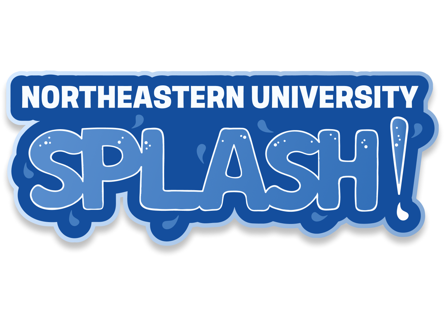 Northeastern Program for Teaching by Undergraduates