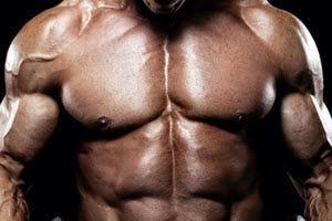 muscled chest muscled chest