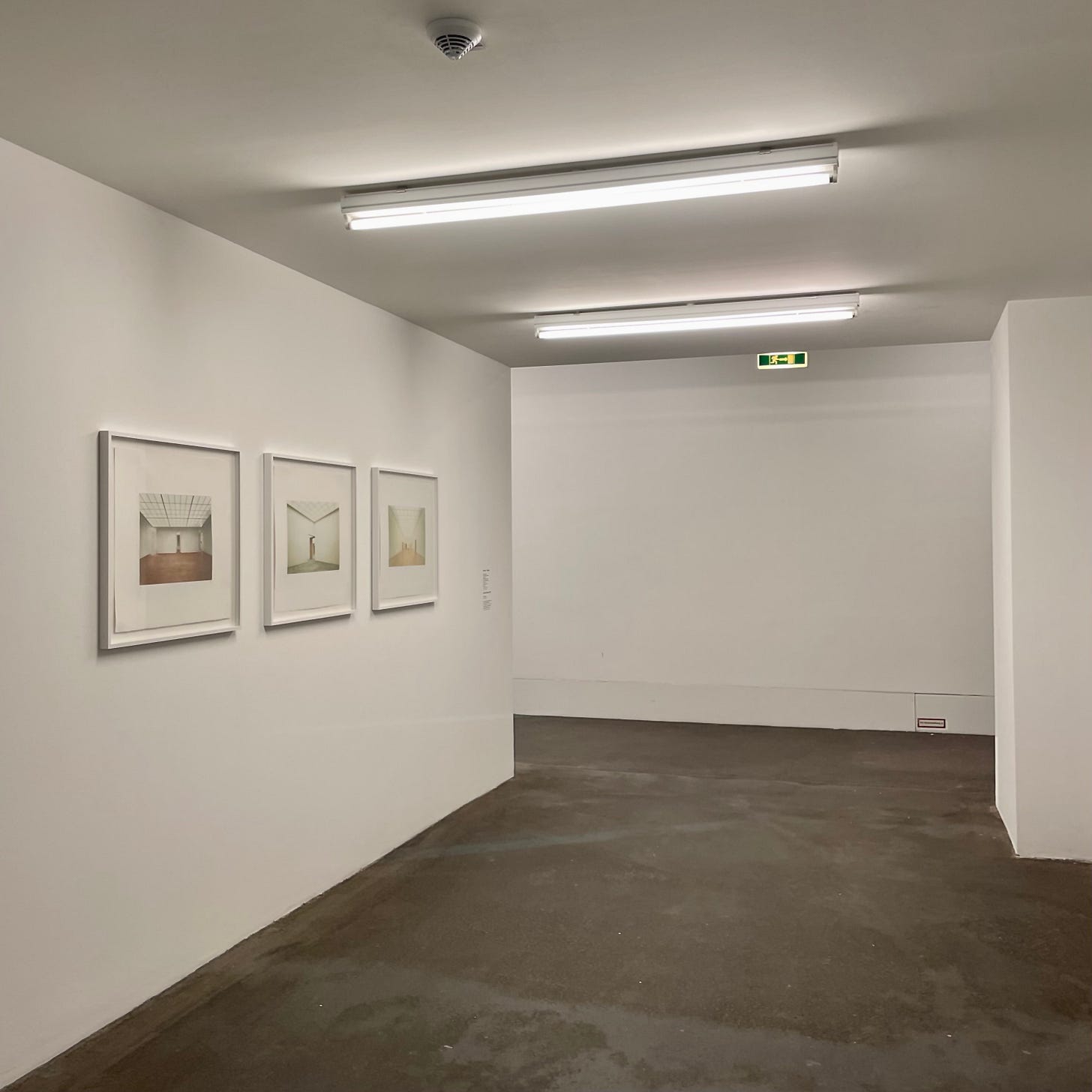 IMG_1324.jpeg IMG_1324.jpeg