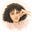 Emmanuelle Berkemeijer's avatar
