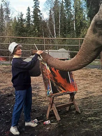 Alaska artist Diane Barske helping Annabelle the Elephant paint in the Alaska Zoo.