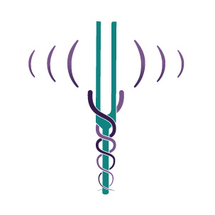 Musings of a Sound Medicine Woman